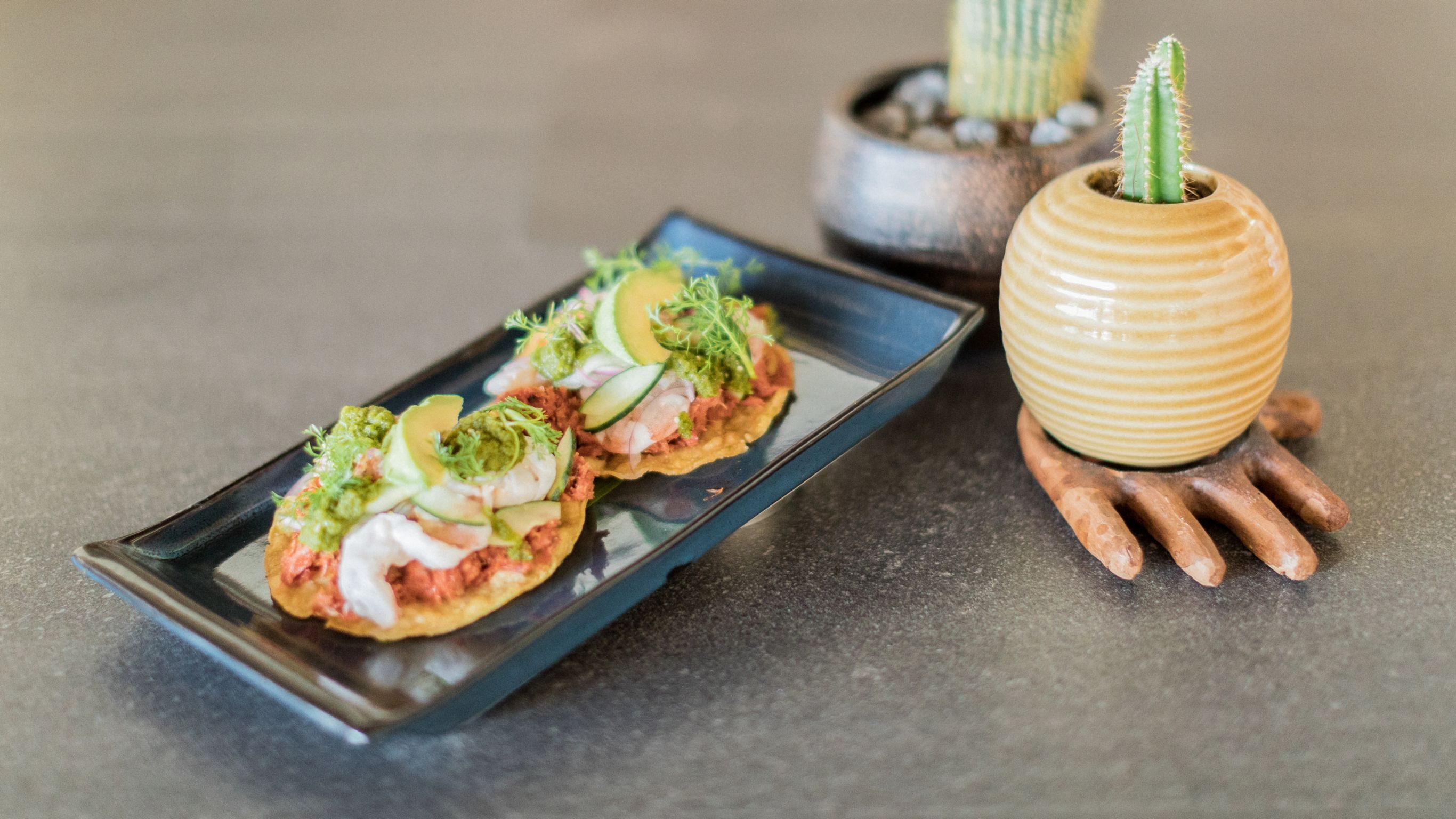 摆放于仙人掌旁的黑色长盘中的墨西哥肉卷配牛油果